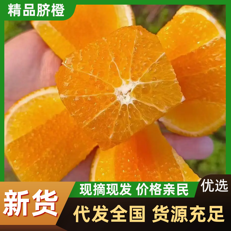 湖北纽荷尔脐橙65以上承接电商社区团购商超出口