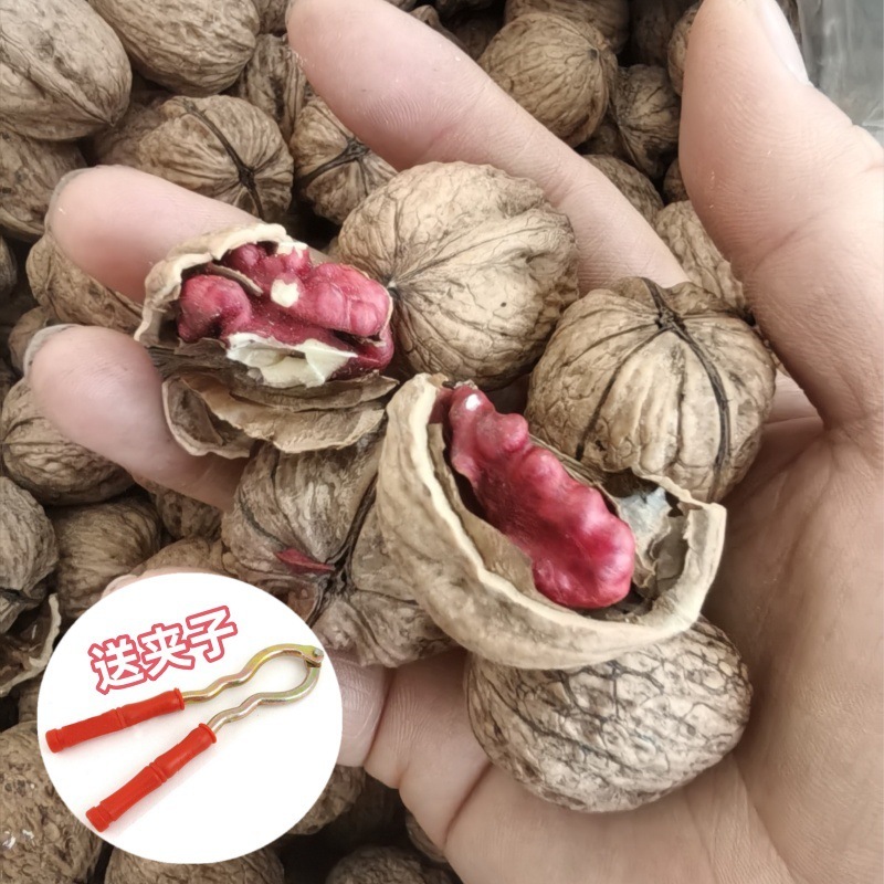 野生红衣核桃红核桃红皮核桃薄壳原味紫皮核桃坚果零