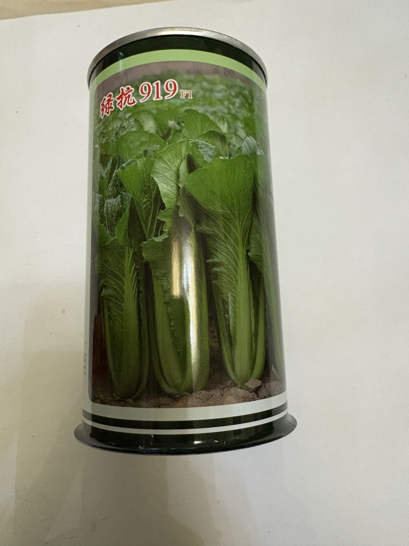 绿抗919小白菜种子产量高易管理大棚露天皆可种植发芽率高