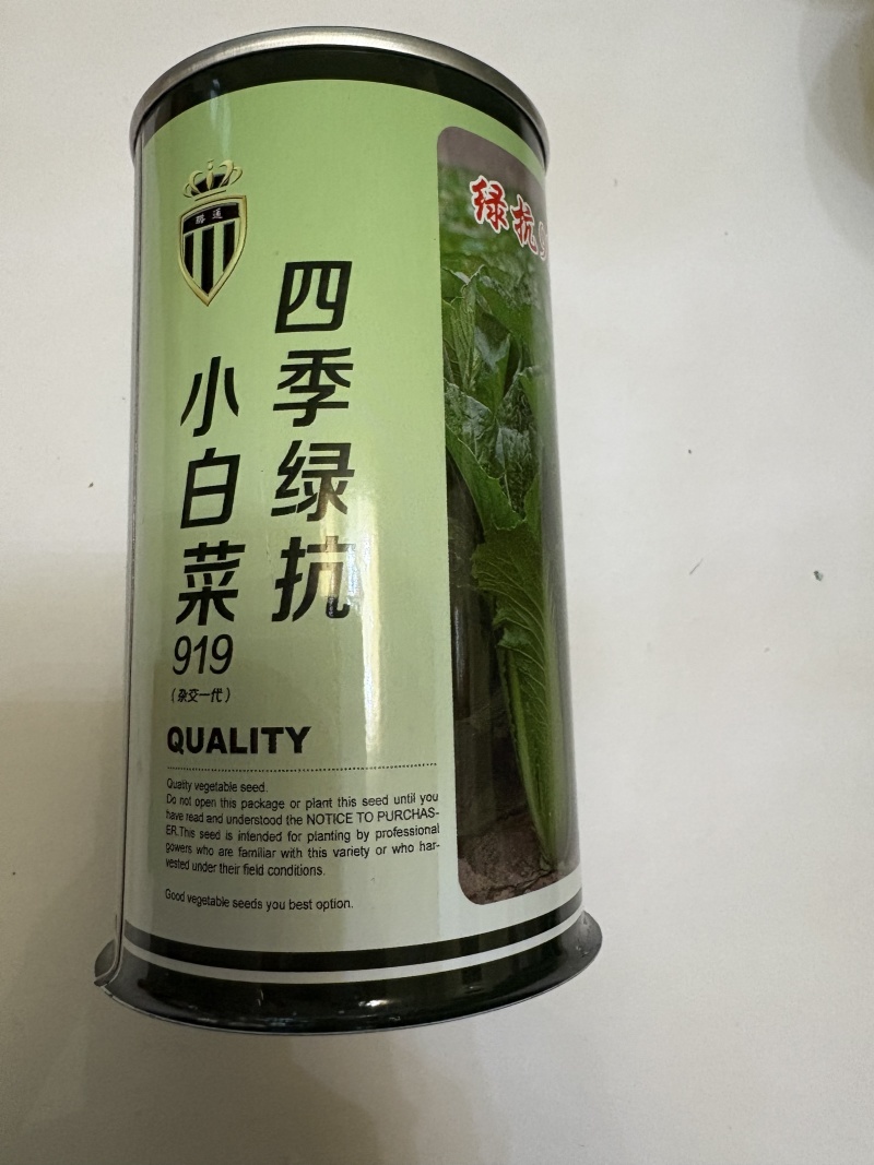 绿抗919小白菜种子产量高易管理大棚露天皆可种植发芽率高