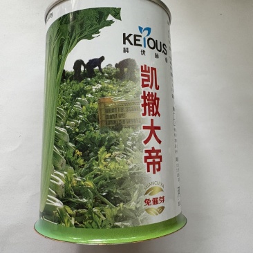 凯撒大帝芹菜种子品种优良四季都可种植可线上交易可实地考察