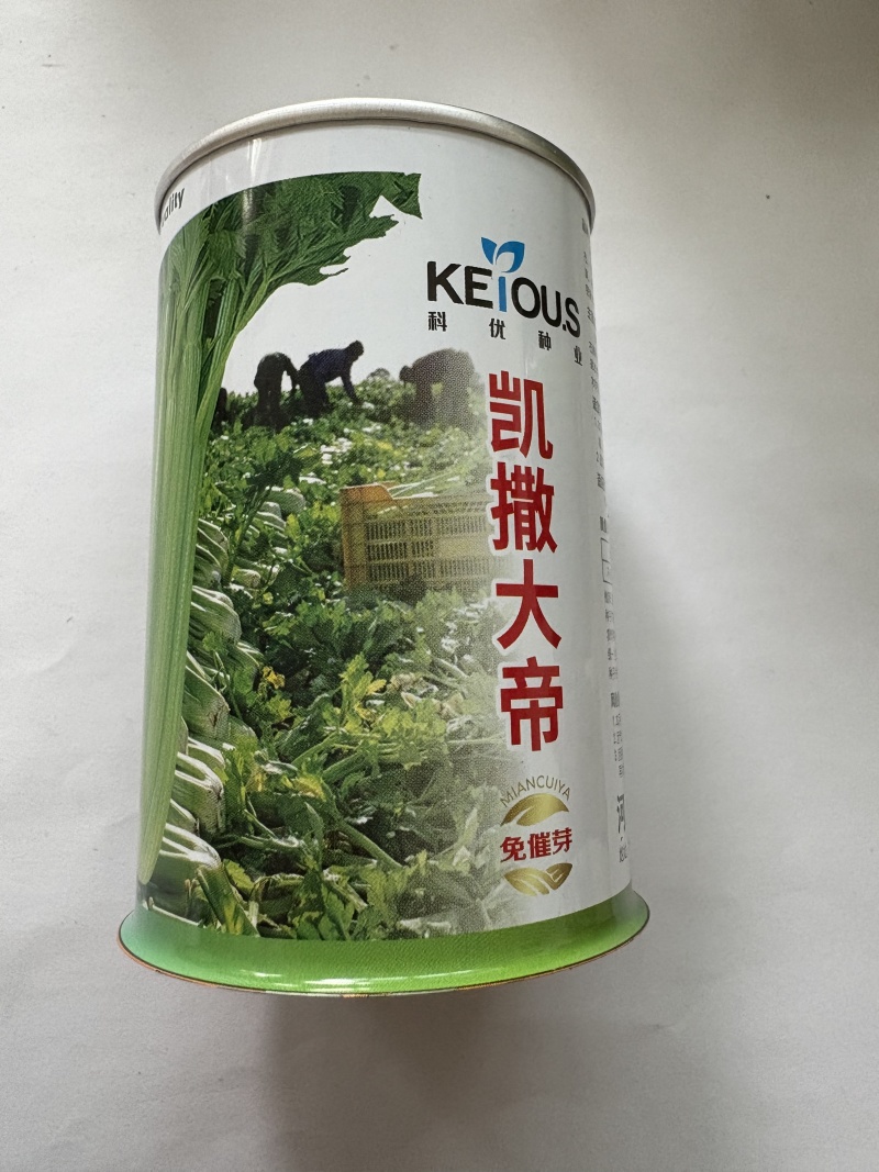 凯撒大帝芹菜种子品种优良四季都可种植可线上交易可实地考察