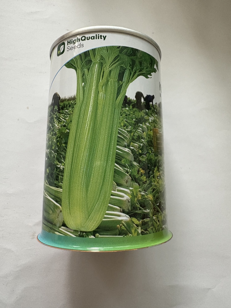 凯撒大帝芹菜种子品种优良四季都可种植可线上交易可实地考察