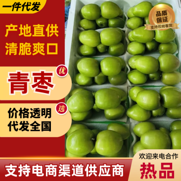 青枣对接市场发货全国价格合理欢迎进店