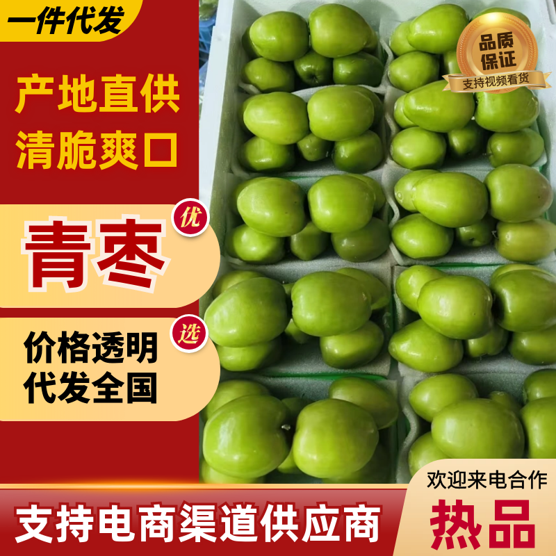 青枣对接市场发货全国价格合理欢迎进店