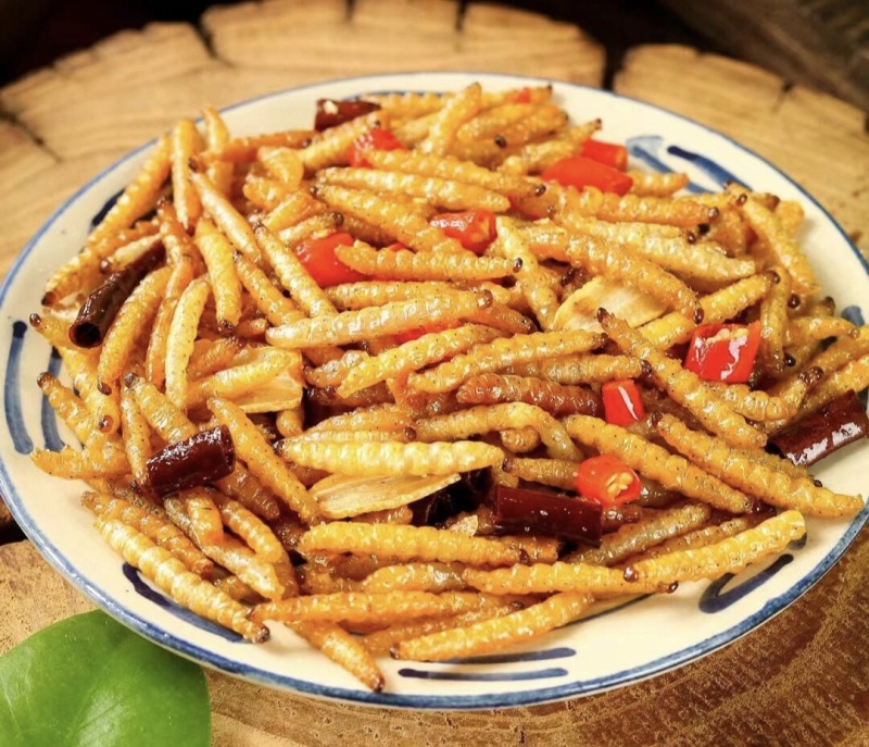 竹虫食用昆虫（一手货源）好货无冰批发零售