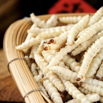 竹虫食用昆虫（一手货源）好货无冰批发零售