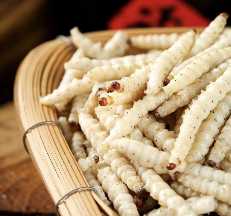 竹虫食用昆虫（一手货源）好货无冰批发零售