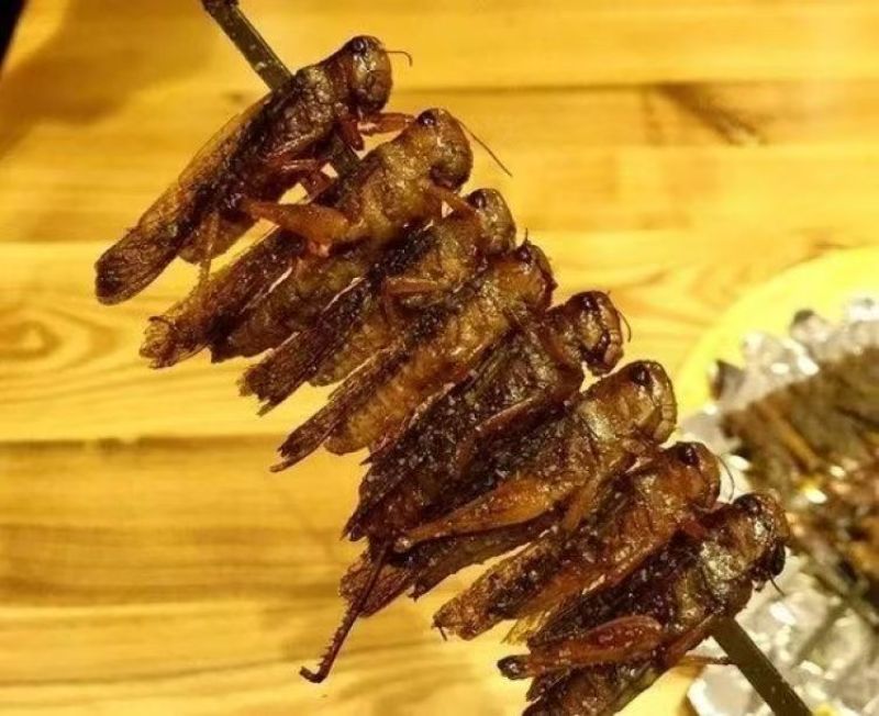 烧烤蚂蚱串商用批发昆虫类蝗虫酥脆蚱蜢串原味烧烤油炸食材半