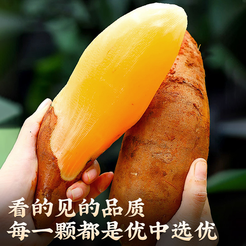正宗天山雪莲果当季新鲜水果