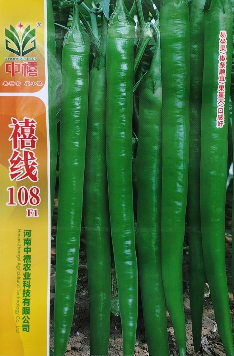 禧线108杂交高品质线椒种子早熟辣椒种籽香辣浓郁青红两用