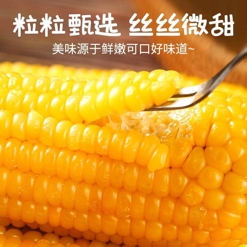 黄A级精品东北黏玉米新货真空包装黄苞米现摘新鲜甜玉米粒粘