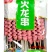 火龙串弹力肠热狗肠串户外烧烤油炸食材烧烤关东煮商用开花肠