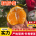 【万人好评】春见柑桔四川耙耙柑现摘现发量大优惠