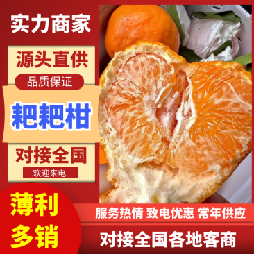 【热卖】耙耙柑四川春见柑桔产地直发保质保量