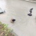 河南省信阳市固始县仿生态甲价格便宜欢迎全国各地客户联系