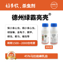 德州绿霸亮壳45%马拉硫磷乳油300克