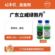 广东立威绿煞丹4.5%高效氯氰菊酯微乳剂500克