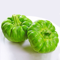 云南姜饼瓜姜柄瓜