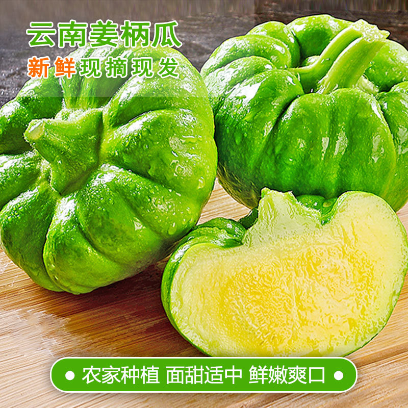 云南姜饼瓜姜柄瓜