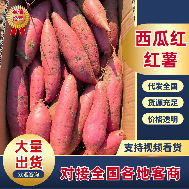 【电商】西瓜红原产地货源无擦伤沙地种植表皮干净大小可挑
