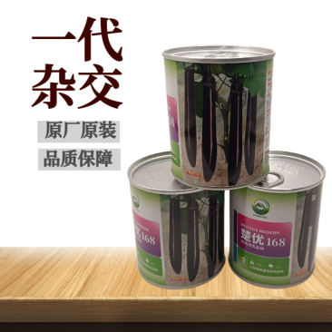 【楚优168】紫黑长茄种子基地优选中早熟茄子高产早春延秋