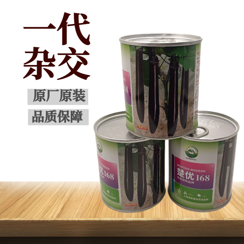 【楚优168】紫黑长茄种子基地优选中早熟茄子高产早春延秋