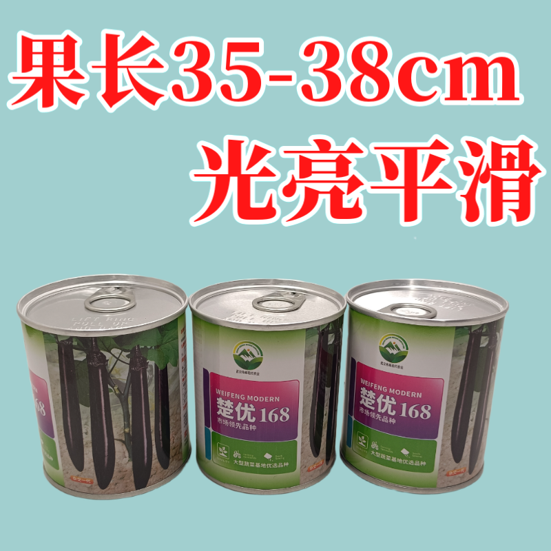 【楚优168】紫黑长茄种子基地优选中早熟茄子高产早春延秋