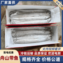 无冰块带鱼优选好货，真正的好货，次品挑出，全国冷链物流发货