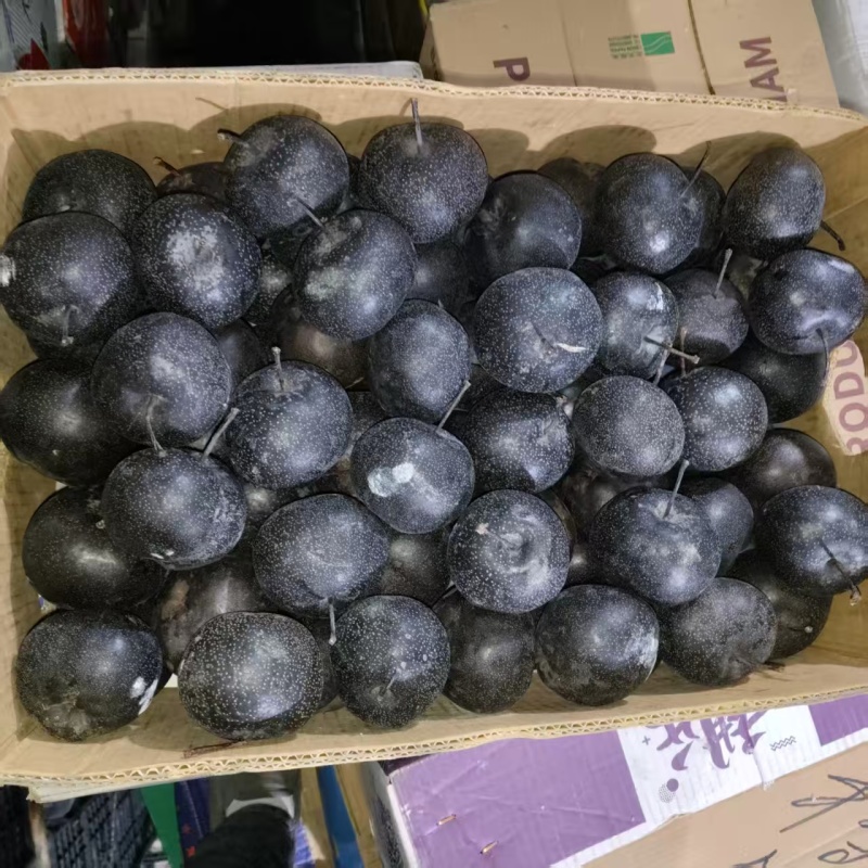 东北冻梨产地一手货源，规格齐全，品质保证，可视频看货
