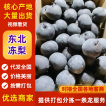 东北冻梨产地一手货源，规格齐全，品质保证，可视频看货