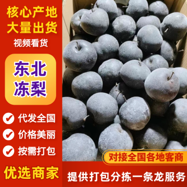 东北冻梨产地一手货源，规格齐全，品质保证，可视频看货