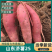 【热卖】山东优质济薯25地瓜百亩基地新鲜挖掘对接商超档口