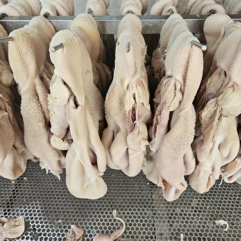 【熟羊肚】五香水煮羊肚全熟羊净肚羊毛肚去红肠百叶资质齐全