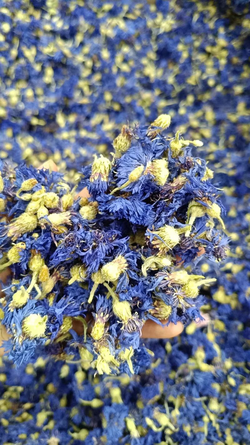 矢车菊矢车菊花瓣蓝色矢车菊粉红色矢车菊批发
