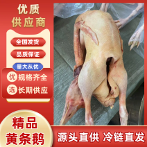 东北散养大鹅。黄条子嘎嘎干不打水农村散养鹅质量保证