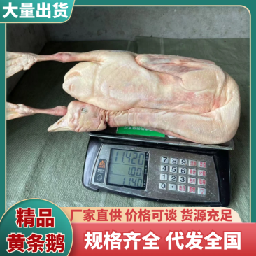 鹅东北大鹅，白条鹅肉，肉质鲜美，保证质量，欢迎下单咨询