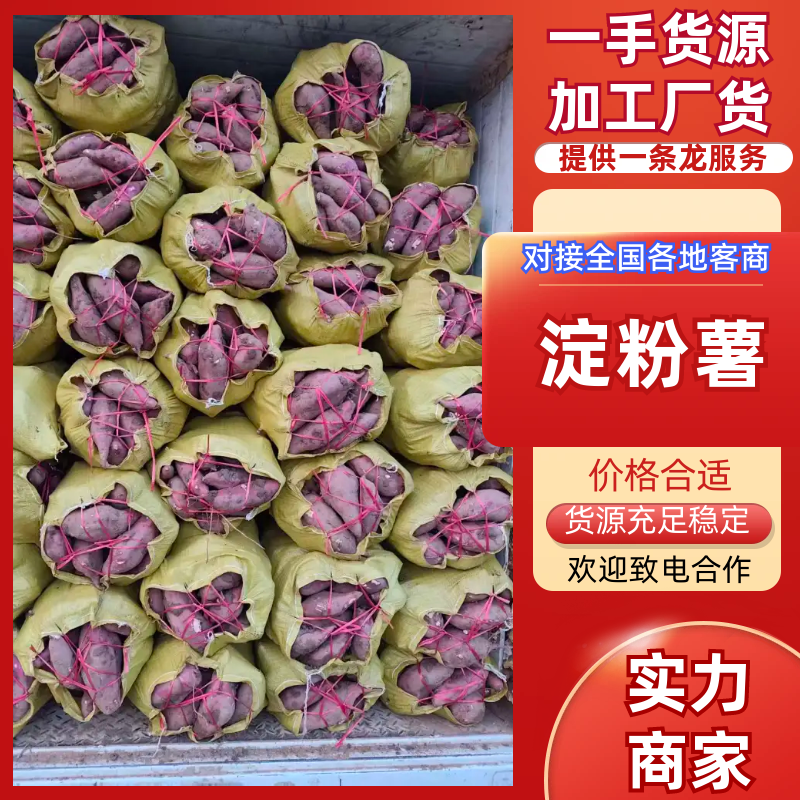 精品商薯19，一手货源，全国供应，诚信经营，可视频看货