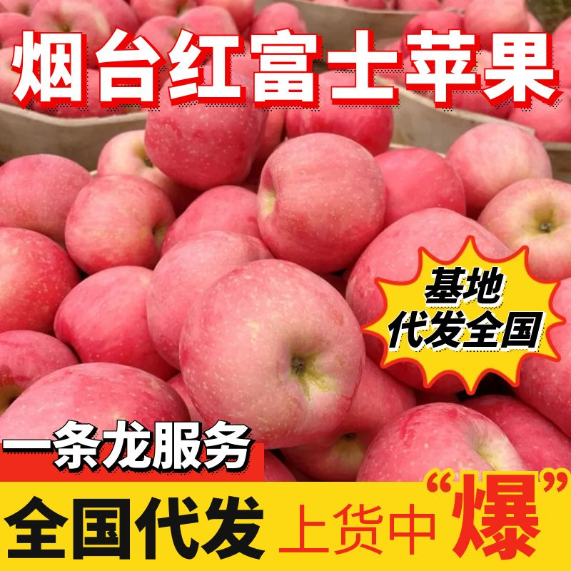 《红富士苹果》栖霞苹果/片红条纹/规格齐全/现货供应中