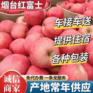 【精选】烟台红富士苹果/现货供应《片红条纹》规格齐全