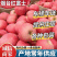 【精选】烟台红富士苹果/现货供应《片红条纹》规格齐全