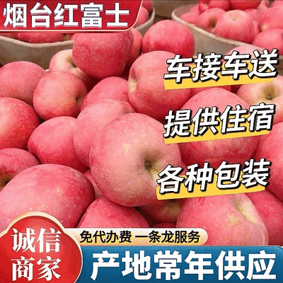 【精选】烟台红富士苹果/现货供应《片红条纹》规格齐全