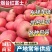 【精选】烟台红富士苹果/现货供应《片红条纹》规格齐全