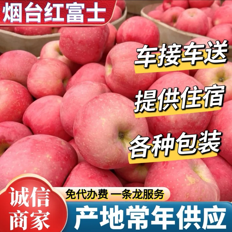 【精选】烟台红富士苹果/现货供应《片红条纹》规格齐全