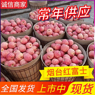 《常年供应》烟台红富士苹果/规格齐全/片红条纹/现货供