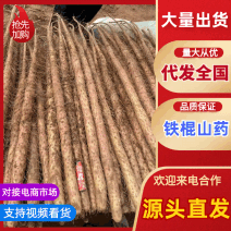 温县铁棍山药新鲜上市价格美丽质量好走货快欢迎询价（热卖）