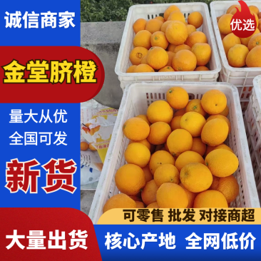 四川精品金堂脐橙，产地一手货源，新鲜保质，价格可谈欢迎来电