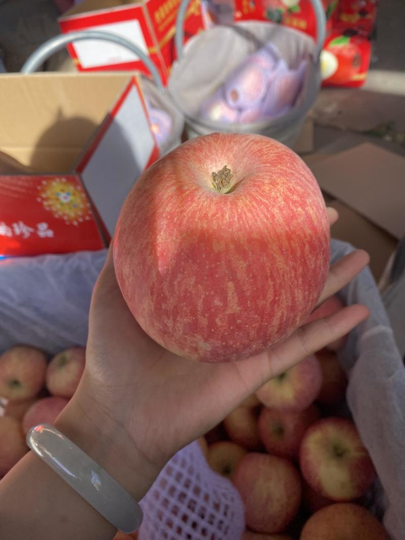 新疆阿克苏冰糖心红富士苹果，脆甜多汁，品质保障