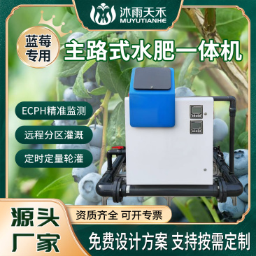 精准施肥水肥机蓝莓种植水肥一体化