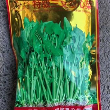 特级三叉空心菜种子中蔬四季高产叶片大梗粗新种子